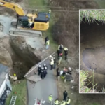 missing-grandma-believed-to-have-fallen-in-sinkhole-while-searching-for-lost-cat:-‘never-came-back’