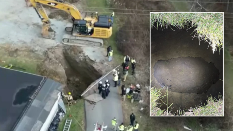 missing-grandma-believed-to-have-fallen-in-sinkhole-while-searching-for-lost-cat:-‘never-came-back’