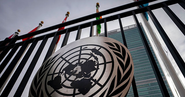 report:-doge-should-target-$20-billion-spent-on-the-united-nations