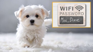 cherished-pet-lives-on-as-wifi-password