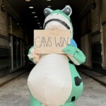 ribbit-and-roll:-a-viral-mascot-fuels-the-cleveland-cavaliers