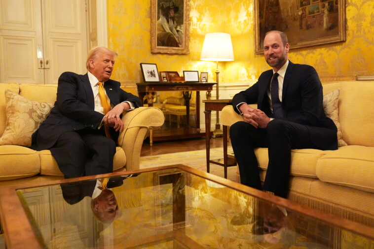 trump-meets-with-prince-william-in-paris-after-notre-dame-ceremony,-calls-him-a-‘great-man’