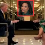 watch:-in-first-post-election-nbc-interview-trump-shuts-down-biased-leftwing-hack-kristen-welker-in-fiery-exchange-over-stolen-2020-election,-says-2024-was-“too-big-to-rig”-–-discusses-tariffs-and-more