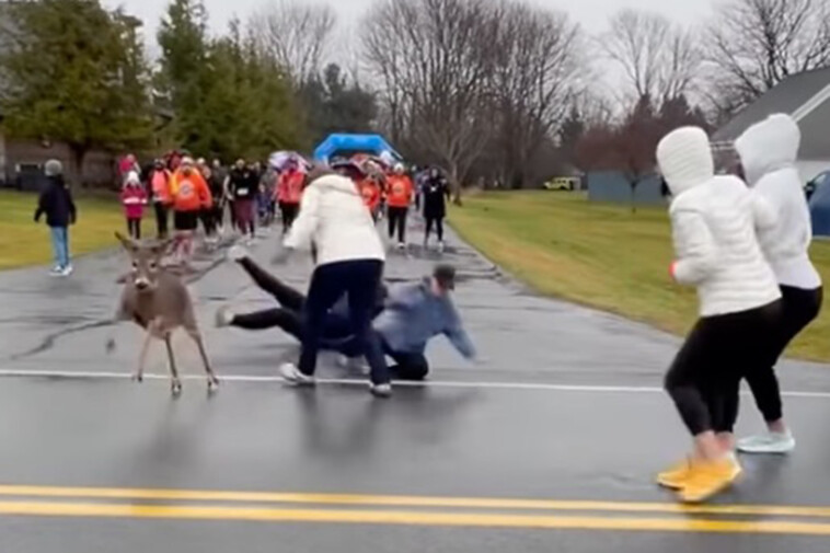 grandma-got-run-over-by-a-reindeer-—-at-a-ny-turkey-trot!