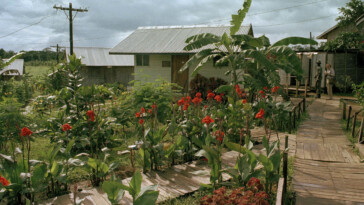 guyana-wants-to-turn-site-of-jonestown-massacre-that-killed-over-900-into-tourist-attraction:-‘ghoulish-and-bizarre’