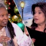 ‘the-view’-co-hosts-get-into-heated-back-and-forth-over-whether-they-should-panic-over-trump’s-plans