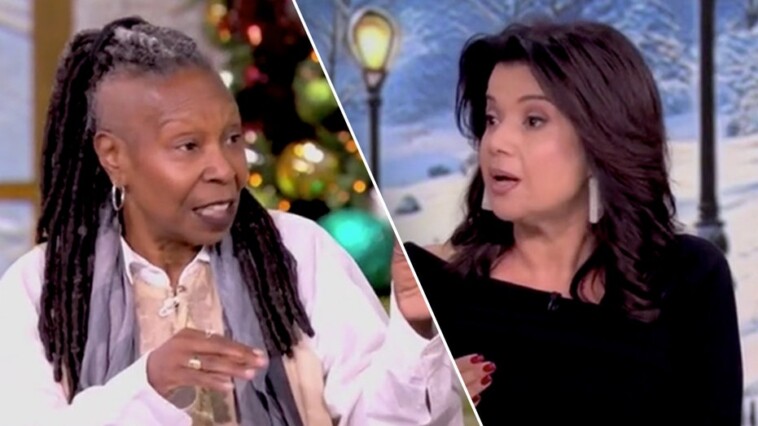 ‘the-view’-co-hosts-get-into-heated-back-and-forth-over-whether-they-should-panic-over-trump’s-plans