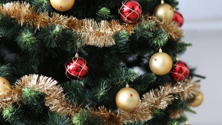 check-out-festive-and-faux-options-to-find-your-perfect-christmas-tree