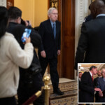 mitch-mcconnell,-82,-on-the-mend-after-cutting-his-face,-spraining-wrist-in-fall-on-capitol-hill