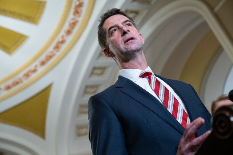 sen.-tom-cotton-thwarts-passage-of-bill-protecting-press-from-feds