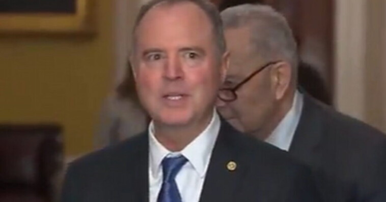 the-nerve:-adam-schiff-complains-‘i-don’t-think-the-incoming-president-should-be-threatening-his-opponents-with-jail-time’-(video)