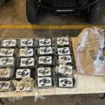 high-tide:-florida-fisherman-catches-$1.7m-in-cocaine-off-atlantic-ocean