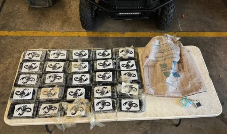 high-tide:-florida-fisherman-catches-$1.7m-in-cocaine-off-atlantic-ocean