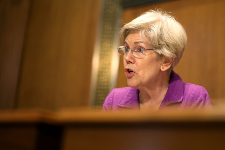 ‘people-can-only-be-pushed-so-far’:-elizabeth-warren-says-ceo-murder-was-a-‘warning’