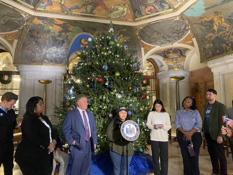 activists-rally-in-albany-after-nyc-closes-additional-hotel-migrant-shelters