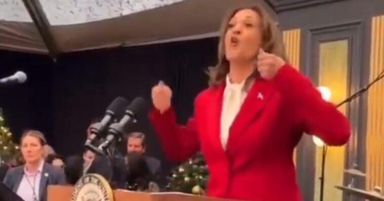 too-much-eggnog?-kamala-harris-looks-sloshed-at-christmas-party-in-dc-(video)