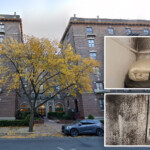 nyc’s-‘worst-landlord’-agrees-to-historic-$6.5-million-settlement-over-thousands-of-violations