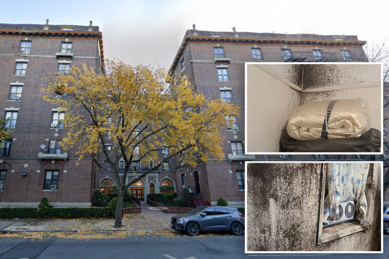 nyc’s-‘worst-landlord’-agrees-to-historic-$6.5-million-settlement-over-thousands-of-violations