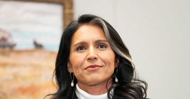 ex-cia-counterterrorism-chief-endorses-lt-col.-tulsi-gabbard-for-dni,-praising-her-‘rare-form-of-courage’