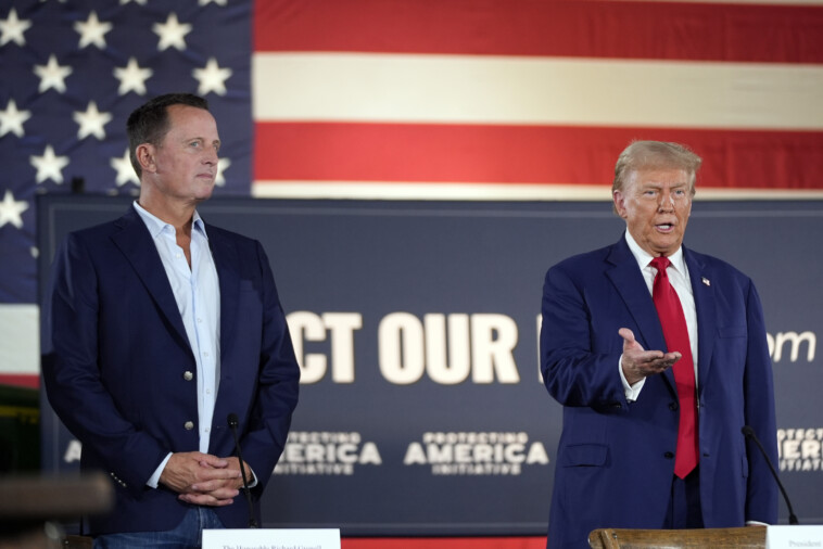 trump-names-richard-grenell-to-lead-presidential-envoy-for-special-missions