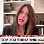 ex-cia-staffer-offers-‘unsettling’-theory-behind-drones-as-feds-dismiss-concerns-as-‘overreaction’