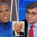 george-stephanopoulos’-comment-that-led-abc-news-to-$15m-lawsuit-settlement-with-trump-‘seems-to-hold-up’:-msnbc-host