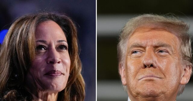 ann-selzer-says-she-did-not-rig-wildly-off-iowa-poll-showing-kamala-leading-trump