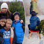 americans-travel-to-family-owned-christmas-tree-farms-to-pick-the-perfect-pine:-‘people-love-it’