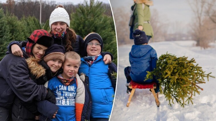 americans-travel-to-family-owned-christmas-tree-farms-to-pick-the-perfect-pine:-‘people-love-it’