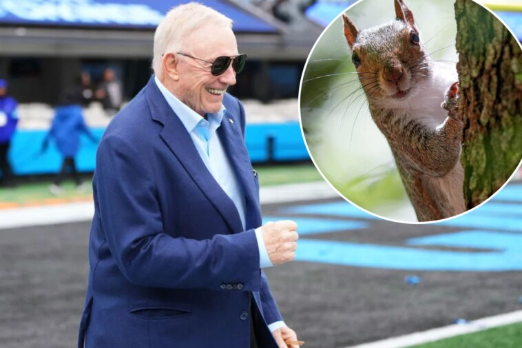 cowboys-owner-jerry-jones-loved-eating-squirrel-brain:-‘delicious’