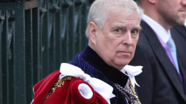 prince-andrew-allegedly-‘ogled’-woman’s-breasts-at-official-royal-engagement-decades-ago:-‘he-wouldn’t-leave-me-alone’