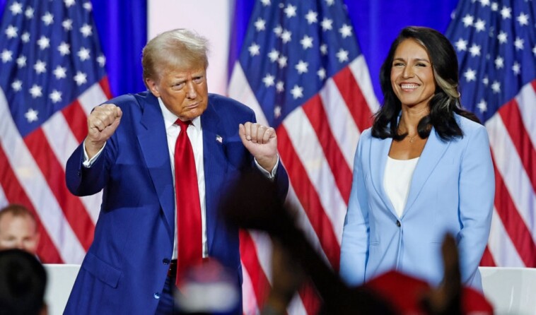 top-border-patrol-union-endorses-tulsi-gabbard-for-intel-post-as-she-courts-capitol-hill