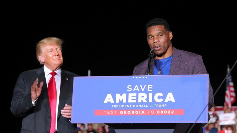 new-mission-for-longtime-trump-ally-and-friend-herschel-walker