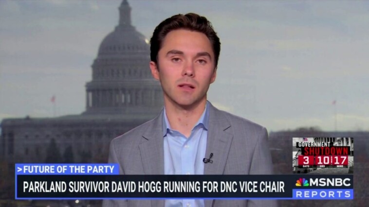 david-hogg-says-he-received-‘an-enormous-amount-of-vitriol’-for-asking-about-dem-outreach-to-young-men