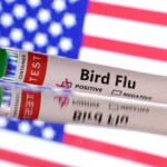 first-severe-case-of-bird-flu-detected-in-us,-cdc-confirms