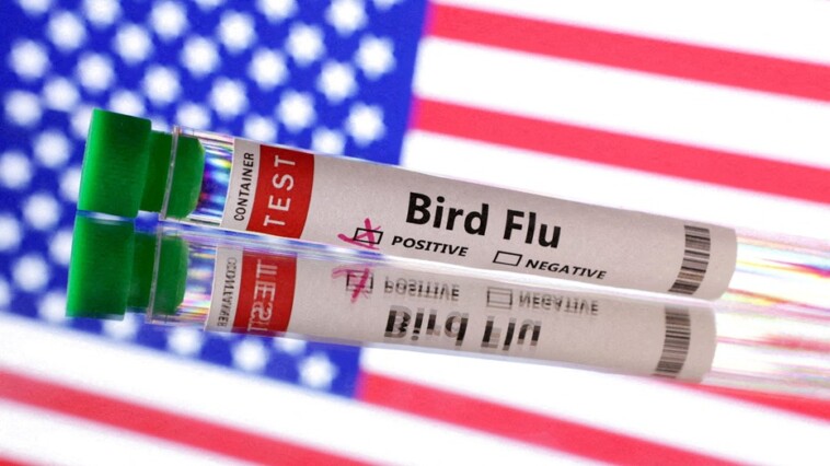 first-severe-case-of-bird-flu-detected-in-us,-cdc-confirms