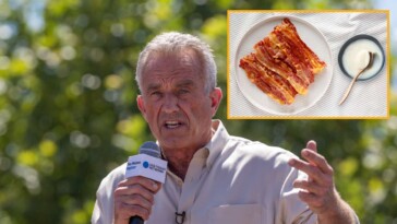 rfk-jr-advises-children-to-leave-out-8-strips-of-bacon-and-a-bowl-of-beef-tallow-for-santa-this-year