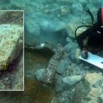 divers-uncover-mysterious-2,500-year-old-shipwreck,-filled-with-unusual-artifacts,-off-coast-of-sicily