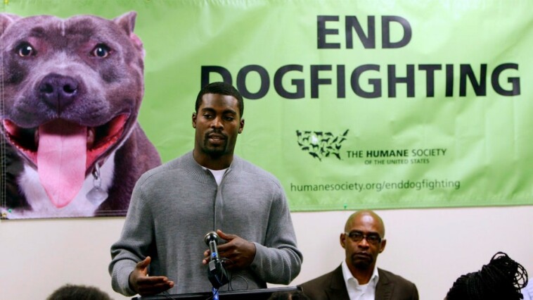 peta-comments-on-michael-vick-hiring-by-norfolk-state-football-team:-‘charming,-charismatic-psychopath’