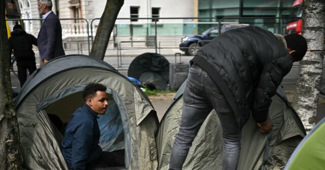 camp-for-1,000-male-migrants-in-ireland-blocked-by-lawsuit-over-environmental-impact