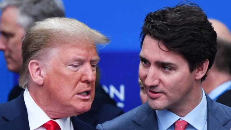 newt-gingrich-says-trump-may-have-‘broken’-trudeau-government-during-historic-transition-period