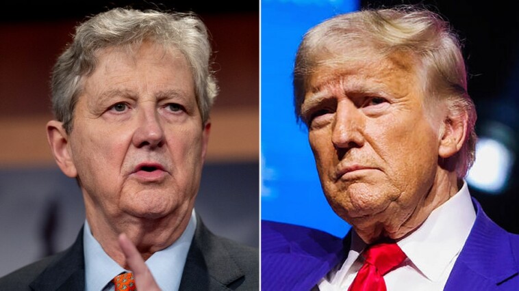 sen.-kennedy-calls-on-trump-to-step-in-on-spending-bill-showdown:-‘one-person’-who-can-unite-gop