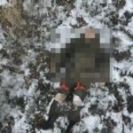 100-north-korean-soldiers-killed-in-ukraine-as-video-shows-russians-appearing-to-burn-their-faces-to-hid-ids