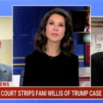 fani-willis’-reputation-‘damaged’-after-disqualification-from-trump-case:-georgia-reporter