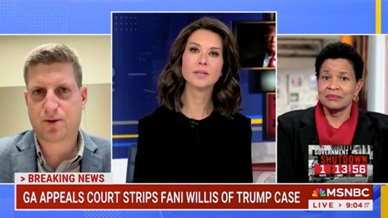 fani-willis’-reputation-‘damaged’-after-disqualification-from-trump-case:-georgia-reporter