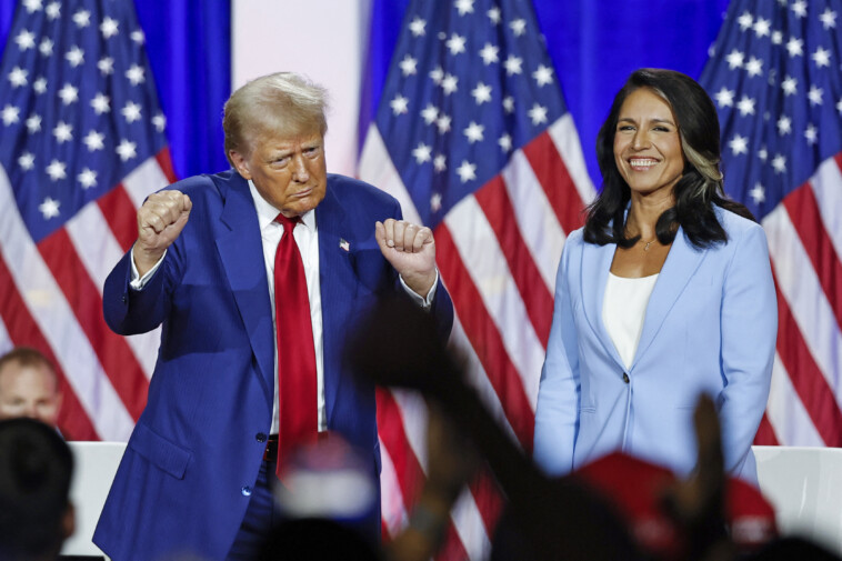 major-border-patrol-union-gives-endorsement-to-tulsi-gabbard-for-dni-nomination