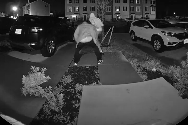 porch-pirate-caught-twerking-on-ring-camera-returns-to-home-to-whine-after-victim-posts-video-online:-‘that’s-my-a–-on-the-internet’