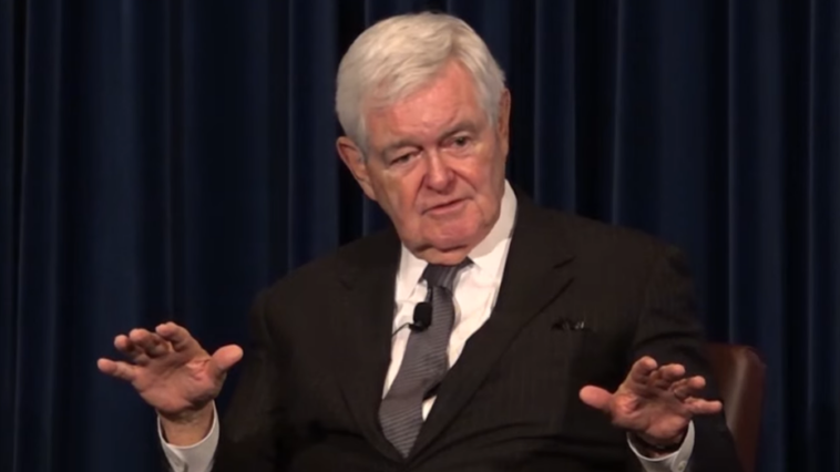 gingrich-torches-‘joke’-spending-bill,-says-trump-refused-to-‘sell-out’-american-people