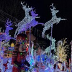 visitors-flock-to-winter-wonderland-light-display-in-honor-of-family’s-late-son