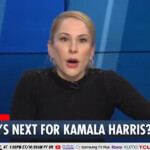 ana-kasparian-of-‘young-turks’-explodes-at-possibility-of-harris-becoming-california-governor:-‘i’m-gonna-move!’